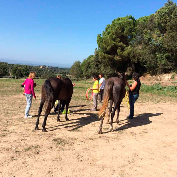 Talleres Benéficos a favor de Protectora ADE