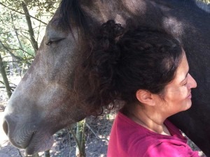 Eneagrama y caballos