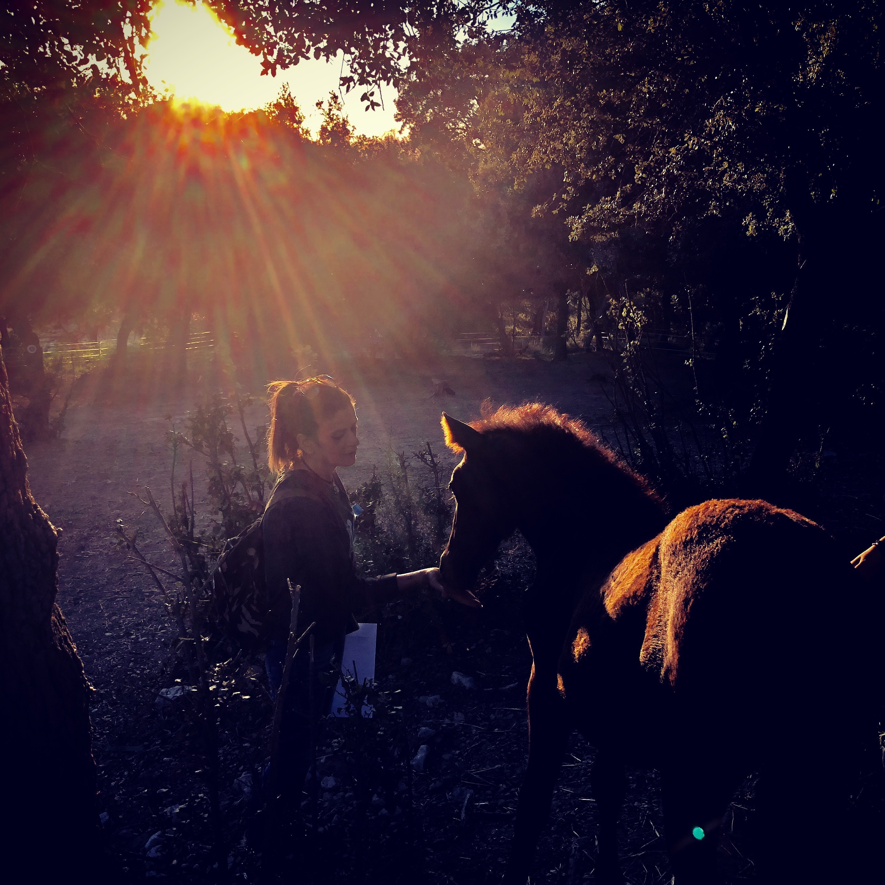Retir amb Cavalls: Sentint la Vida