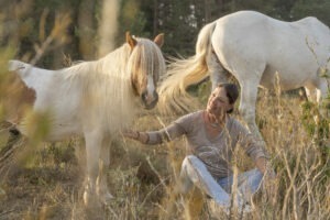 Emprender junto a tus caballos, es brillar en tu proyecto