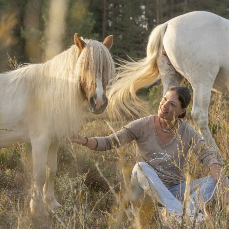 Emprender junto a tus caballos, es brillar en tu proyecto