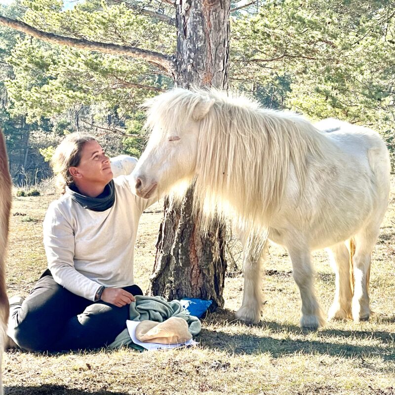 Constelaciones con caballos