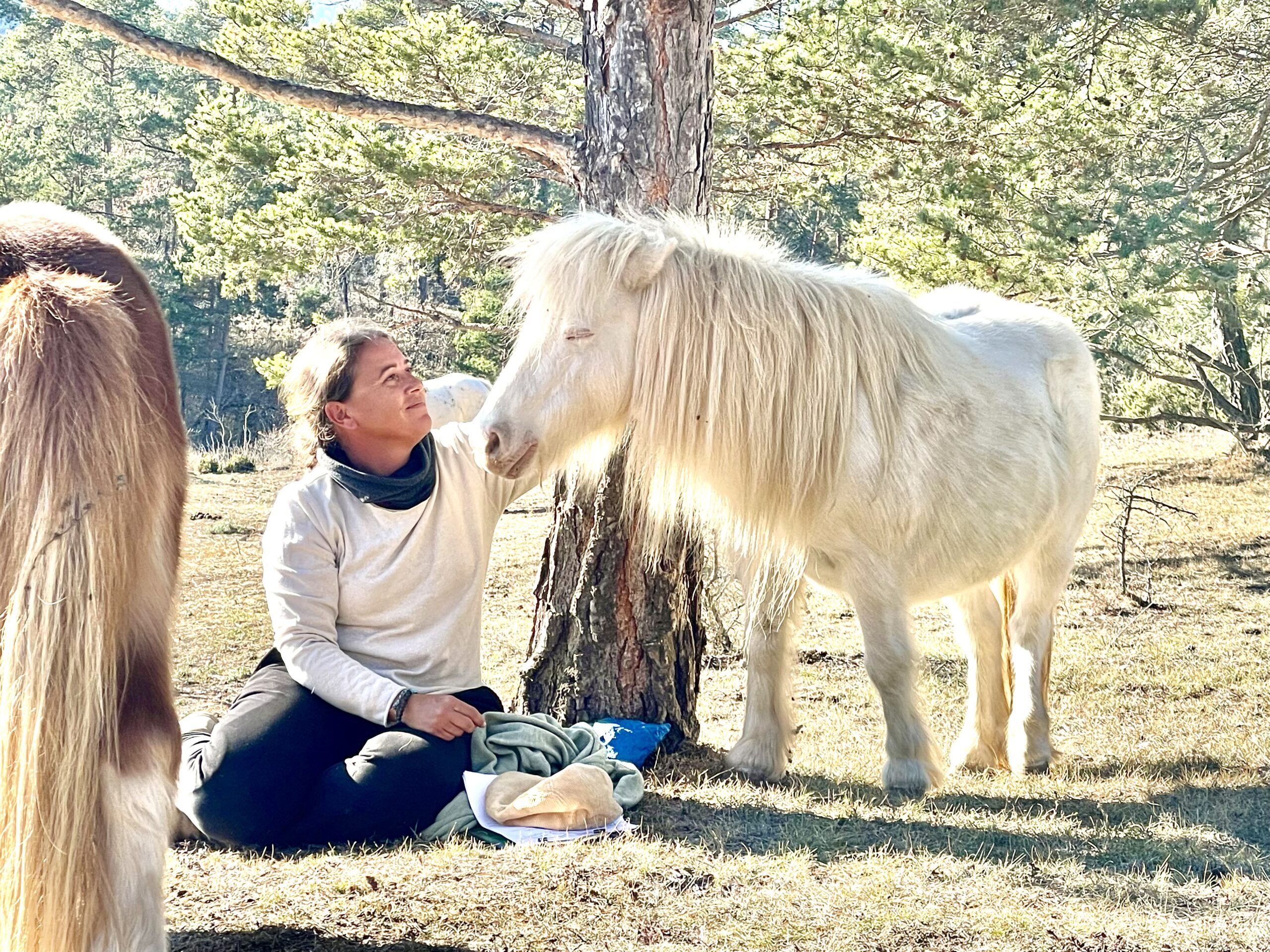 Cabalgando hacia tus sueños