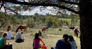 Formaciones asistidas con caballos