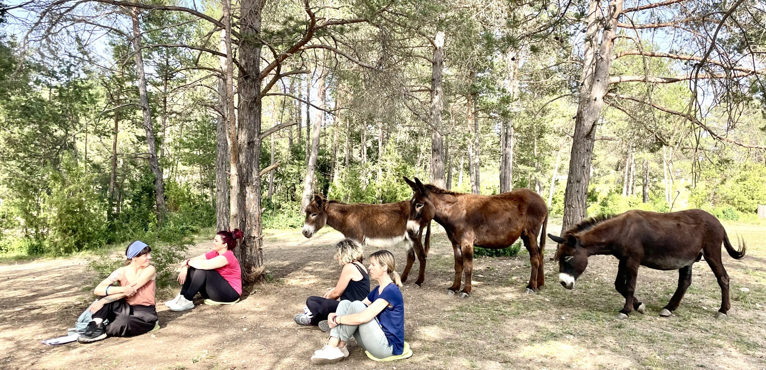 Conexión caballo y sistema nervioso humano