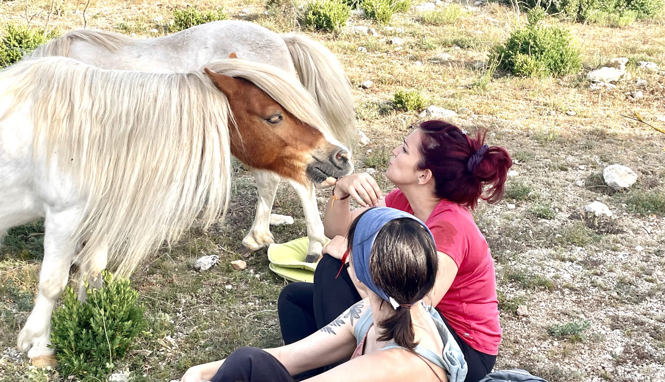 El impacto cuántico de los caballos