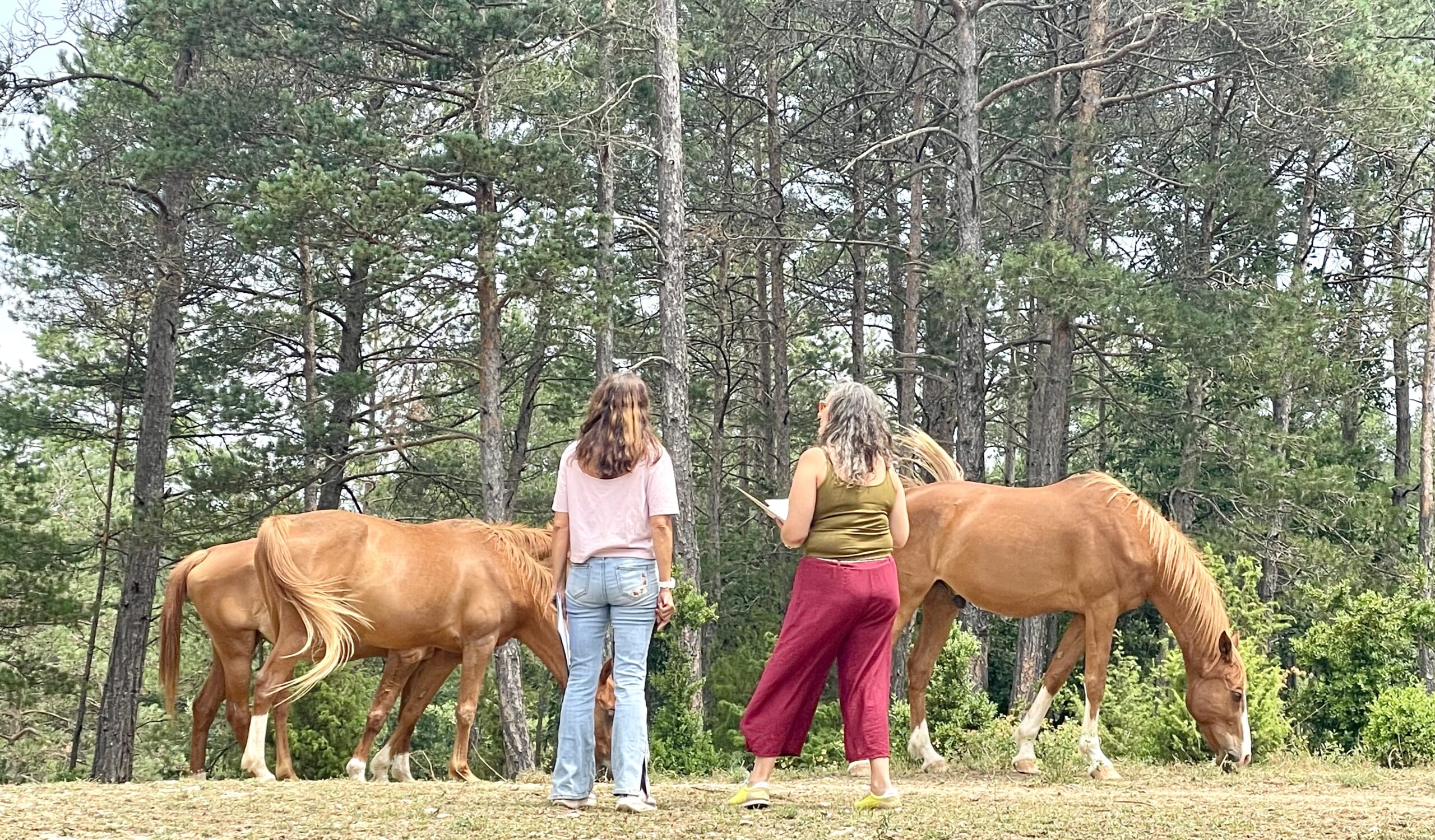 De la proyección a la presencia consciente